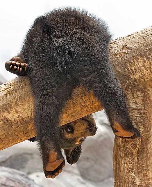 เมนูลดน้ำหนัก